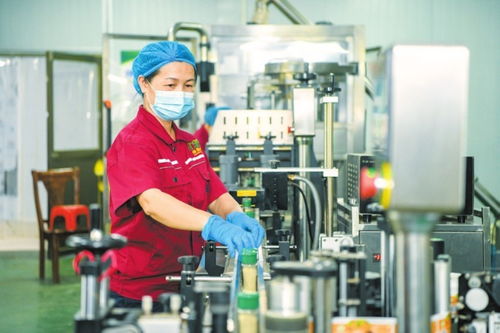 海口大坡胡椒俏銷國(guó)內(nèi)外市場(chǎng)在線打包忙